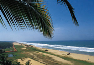 www.ayurveda-india.it: somatheeram beach, chowara, kerala, India del sud