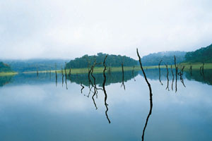 www.ayurveda-india.it:  lago peryar