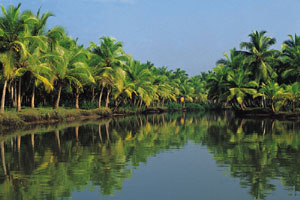 www.ayurveda-india.it:  backwaters - pozhiyoor